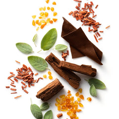 Men Grooming | Stetson Stetson Spirit Face X Beard Moisture