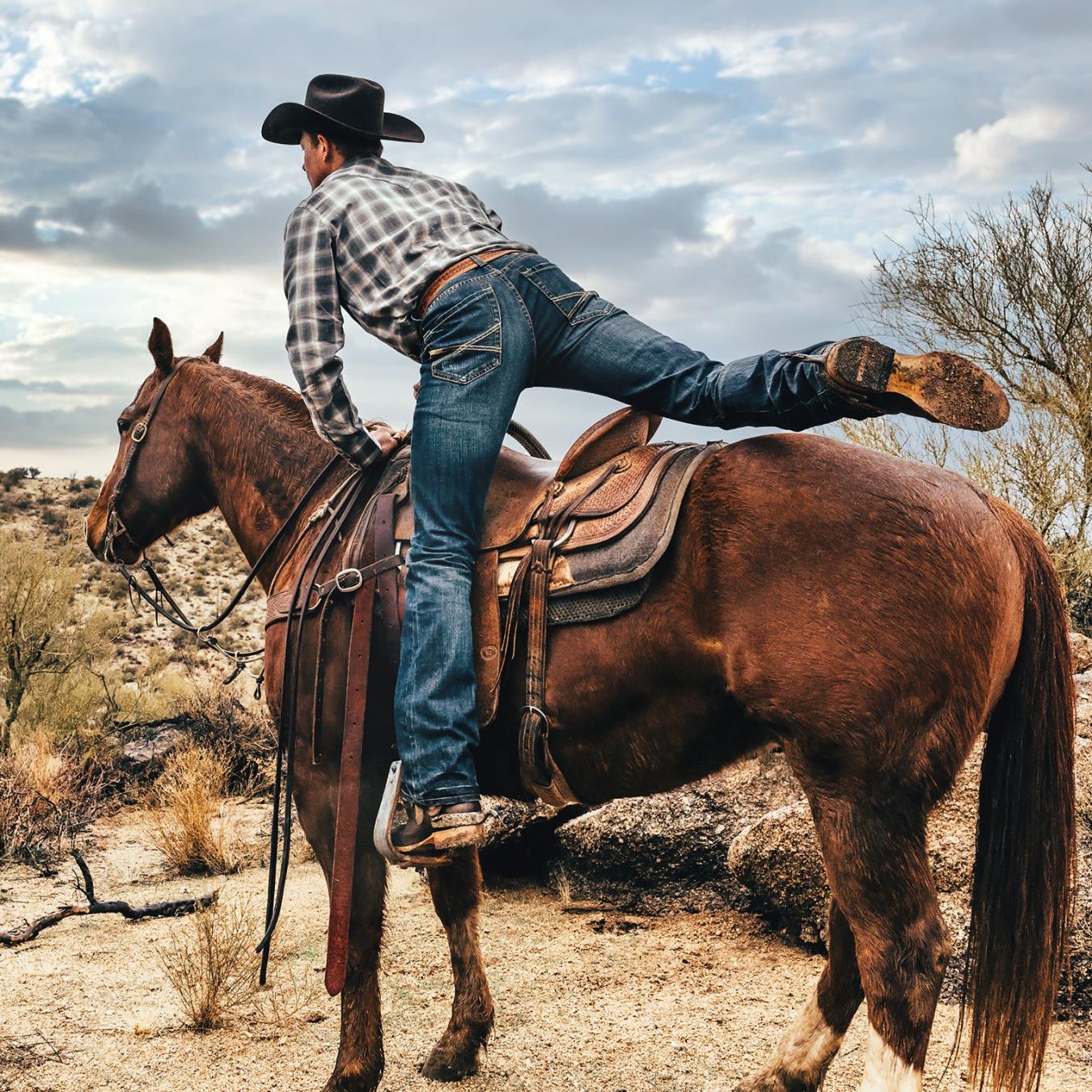 Men Boot Cut | Stetson 1014 Fit Destructed Dark Wash Jeans Blue