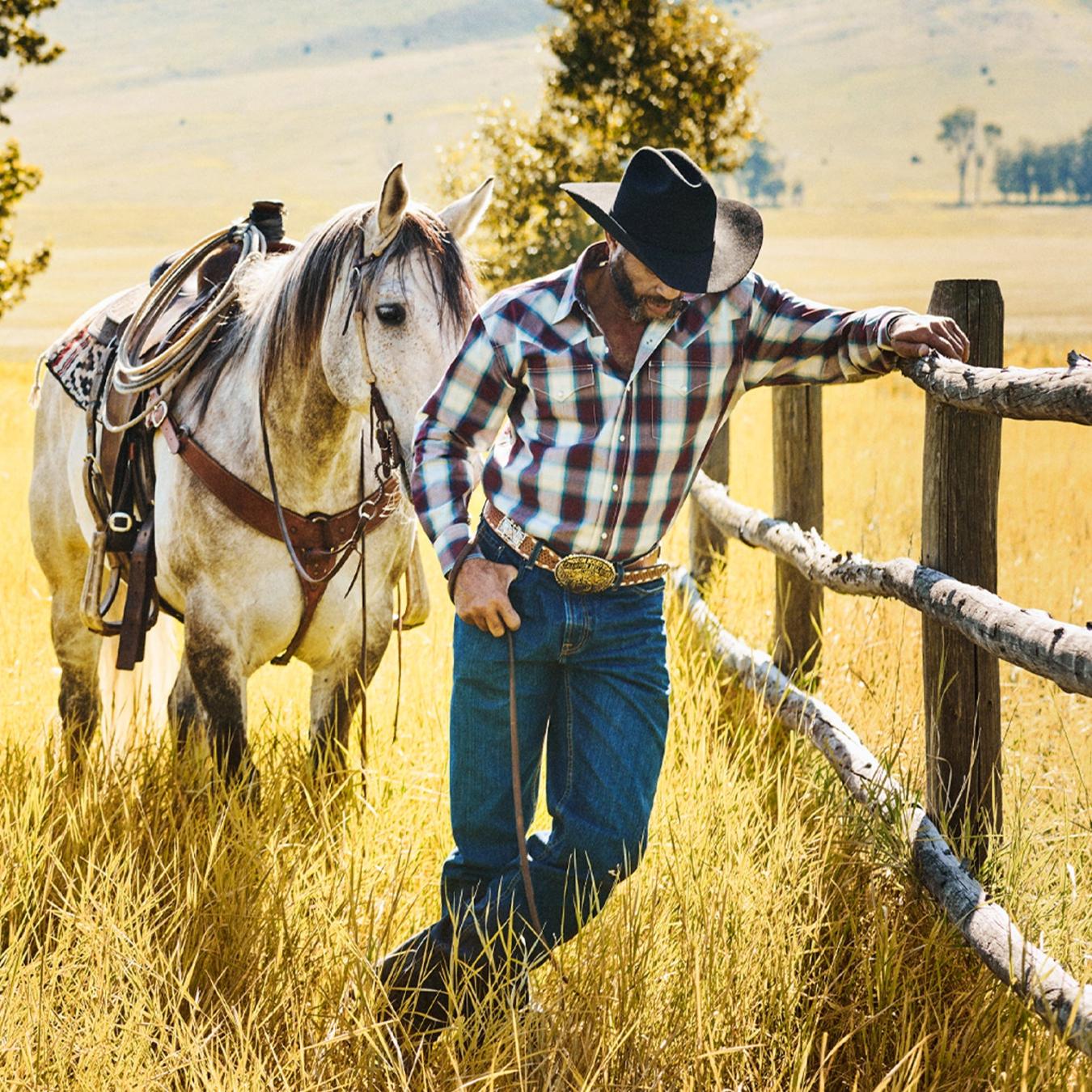 Men Classic Cut | Stetson Wine Plaid Shirt Wine