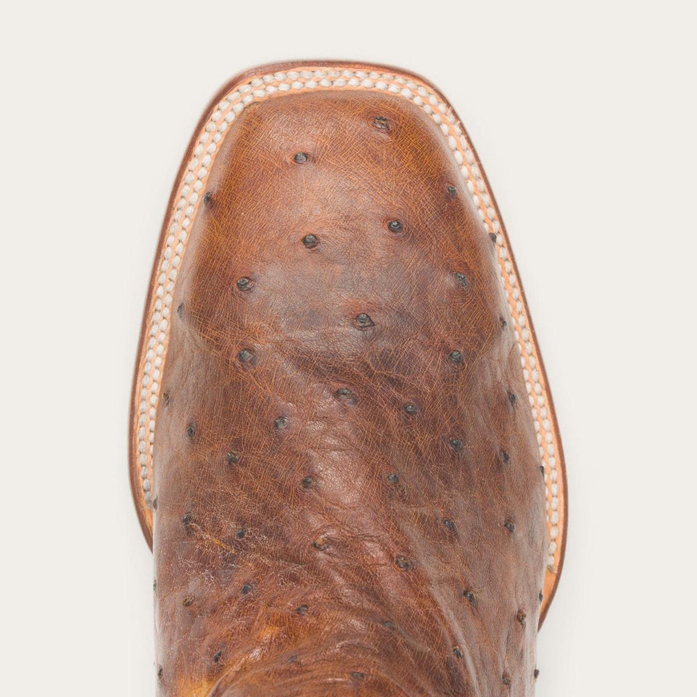 Men Exotics | Stetson Jackson Boots Brown