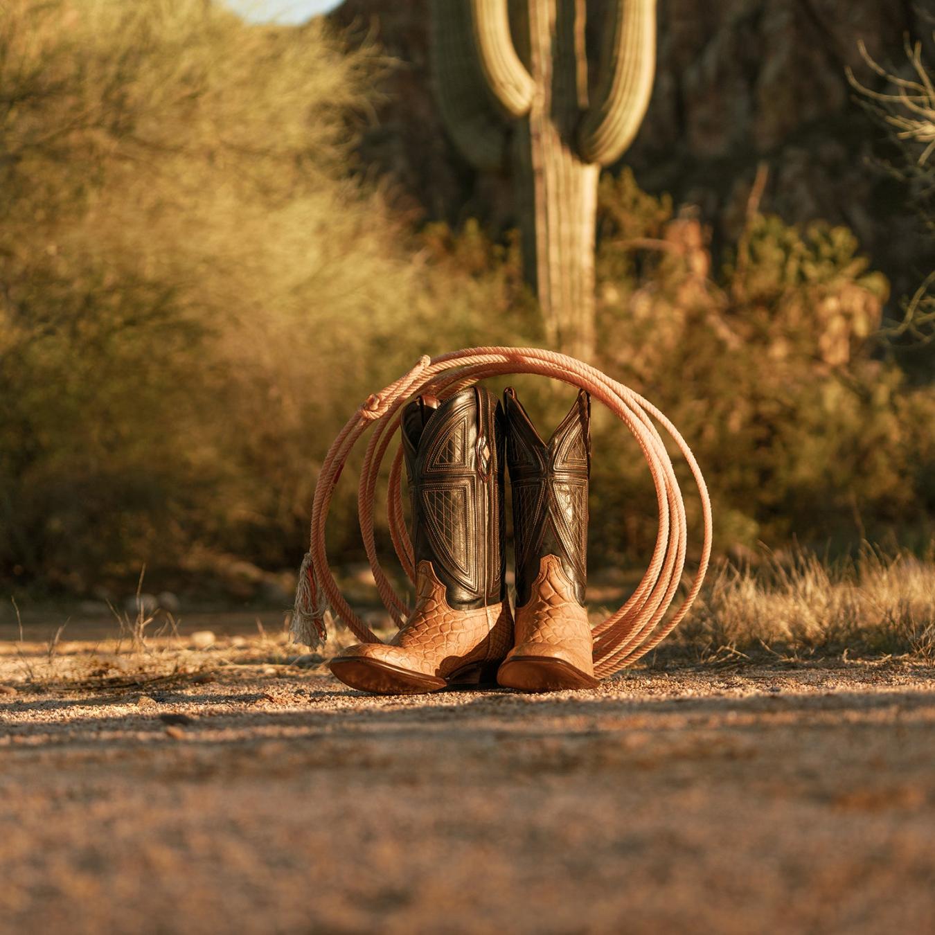 Men Western | Stetson Flaxville Tan