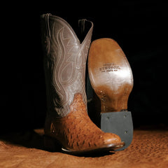 Men Western | Stetson Ozzy Ostrich Boot Brown