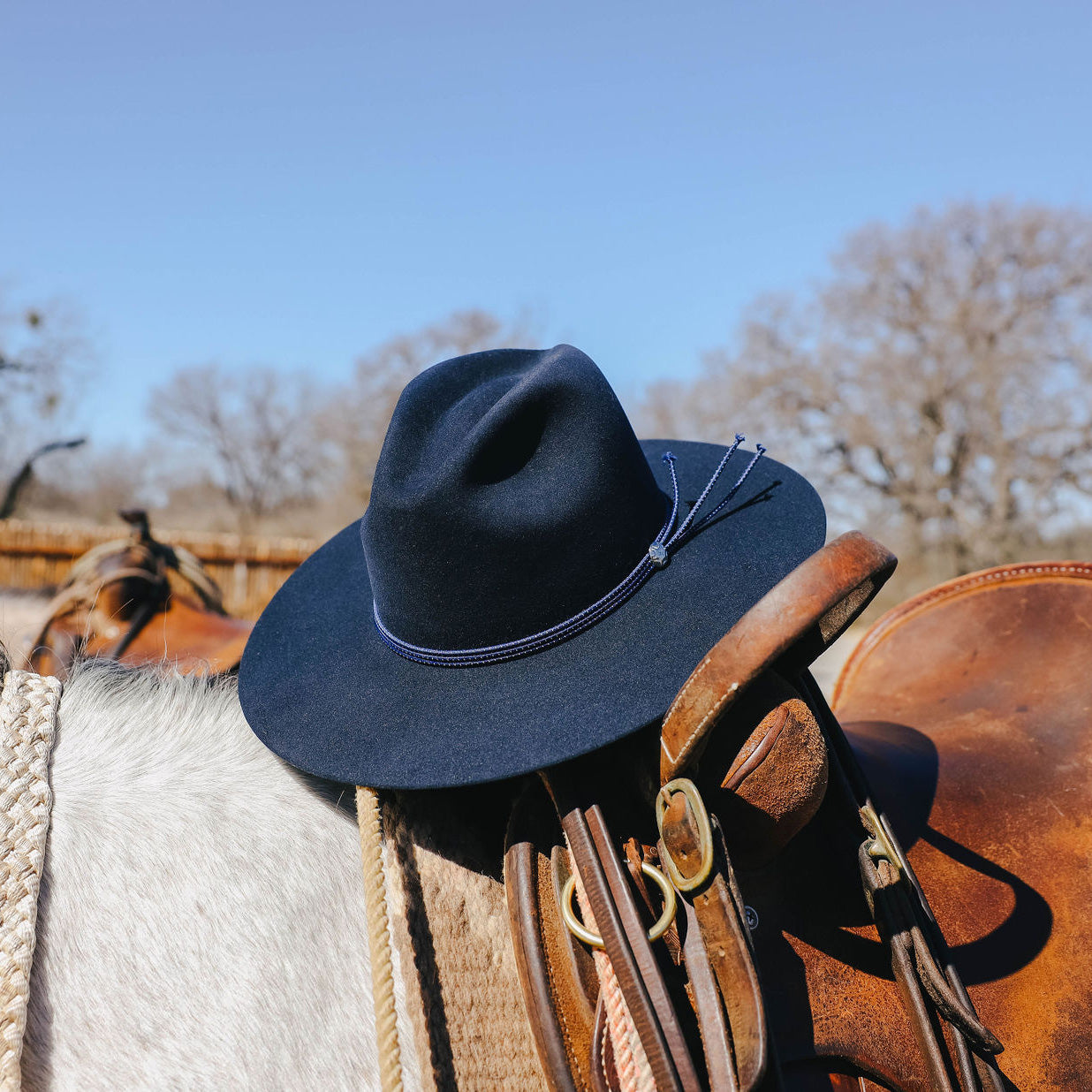 Men/Women Fedora | Stetson The Four Points Navy