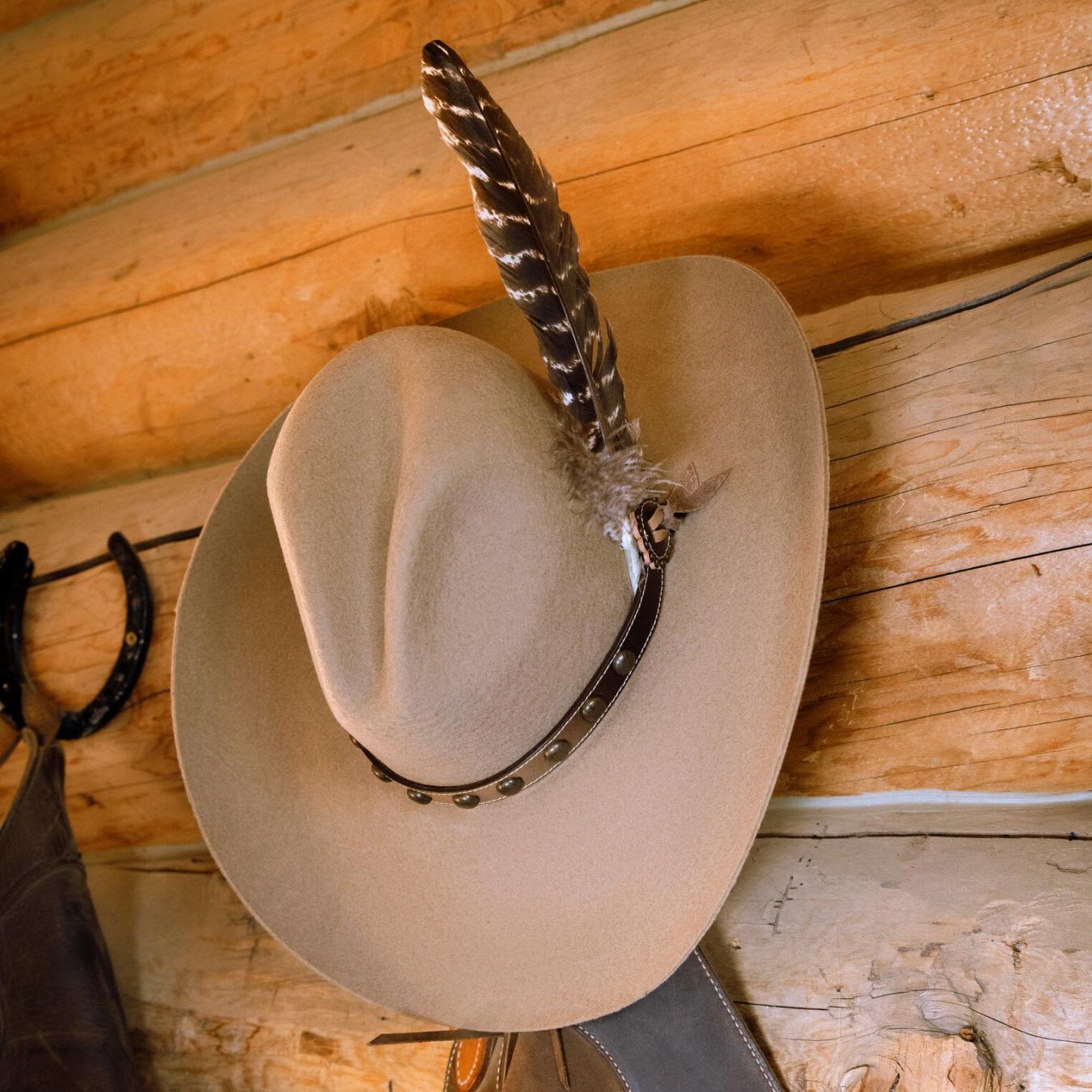 Men/Women Western | Stetson Broken Bow 4X Cowboy Hat Buck